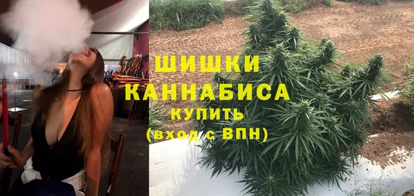 гидра Арсеньев