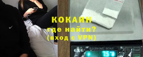 гидра Арсеньев