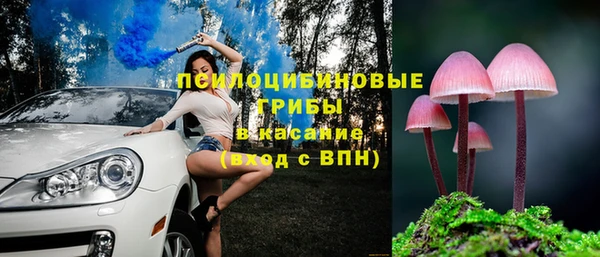 гидра Арсеньев