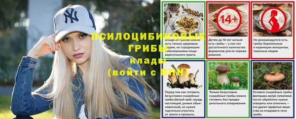 гидра Арсеньев