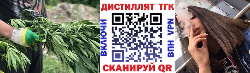 KRAKEN ссылки  Новоузенск  ТГК гашишное масло  где купить  