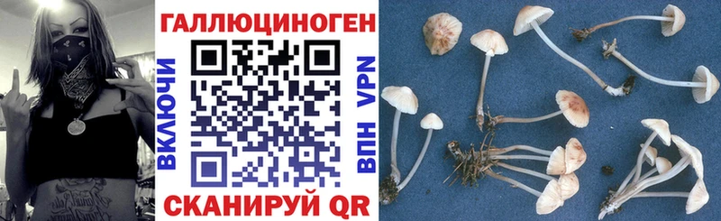 Псилоцибиновые грибы прущие грибы  наркошоп  Новоузенск 